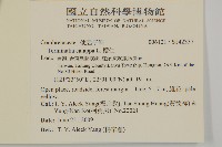 欖仁藏品圖，第2張