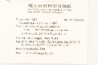 一枝香藏品圖，第2張