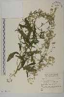 登錄號:S142539藏品圖，第2張