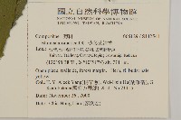 薄葉艾納香藏品圖，第2張