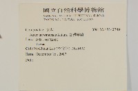 臺灣馬蘭藏品圖，第2張