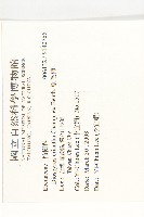 軟毛柿藏品圖，第2張