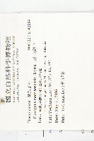 玉山胡頹子藏品圖，第2張