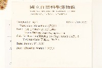 過山龍藏品圖，第2張