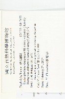 奧氏虎皮楠藏品圖，第2張