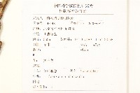 芼管草藏品圖，第2張