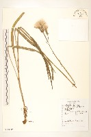 登錄號:S143112藏品圖，第1張