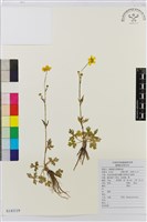 登錄號:S143119藏品圖，第1張