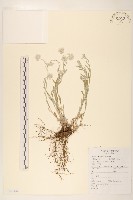 登錄號:S143142藏品圖，第1張