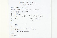 腺獨行菜藏品圖，第2張