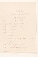 女菀藏品圖，第2張