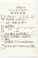 打碗花藏品圖，第2張