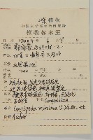 石胡荽、吐金草藏品圖，第2張