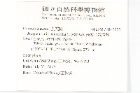 長梗毛娥房藤藏品圖，第2張