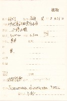 极叉枝鴨蔥藏品圖，第2張