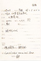 銀灰旋花藏品圖，第2張