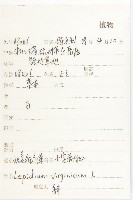 獨行菜藏品圖，第2張