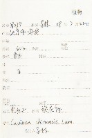 中國菟絲子藏品圖，第2張