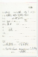 燥原薺藏品圖，第2張