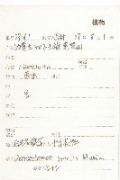 白毛花旗竿藏品圖，第2張