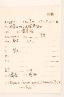 蝟菊藏品圖，第2張