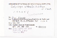 濱旋花藏品圖，第2張