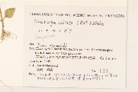 登錄號:S144187藏品圖，第2張