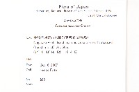 日本菟絲子藏品圖，第2張