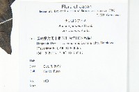 登錄號:S144224藏品圖，第2張