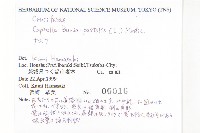 薺藏品圖，第2張