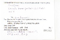 薺藏品圖，第2張