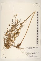 登錄號:S144277藏品圖，第1張