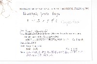 泥胡菜藏品圖，第2張