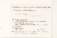 登錄號:S144305藏品圖，第2張