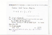 珠芽佛甲草藏品圖，第2張