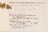 登錄號:S144383藏品圖，第2張