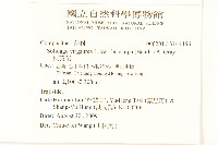 一枝黃花藏品圖，第2張