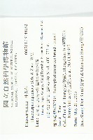 薯豆藏品圖，第2張