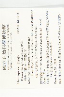 杜英、山杜英、蘭嶼杜英藏品圖，第2張