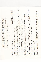 山紅柿藏品圖，第2張