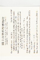 奧氏虎皮楠藏品圖，第2張