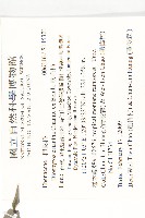 軟毛柿藏品圖，第2張