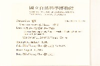 野牡丹藏品圖，第2張