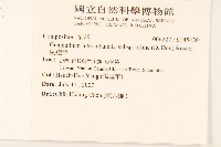 鼠麴草藏品圖，第2張