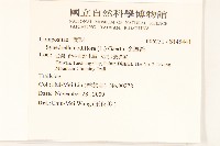 金腰箭藏品圖，第2張