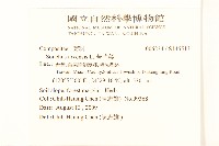 苦苣菜藏品圖，第2張