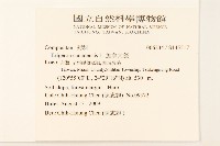 加拿大蓬藏品圖，第2張