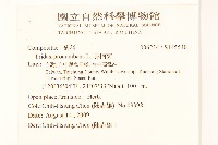 長柄菊藏品圖，第2張