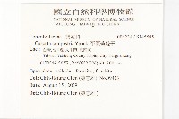 平原菟絲子藏品圖，第2張