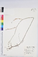 登錄號:S145551藏品圖，第1張